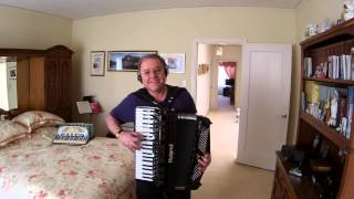 Chantilly Lace Rock amp Roll  Mario Muschi  Accordion [upl. by Rother139]