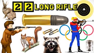 22 LONG RIFLE History and Relevance [upl. by Metah]