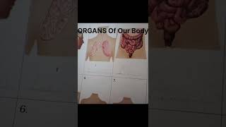 What are organ body Adityakumar [upl. by Brietta]