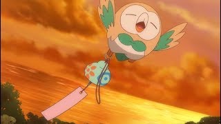 Not so fast Rowlet [upl. by Rodrique]