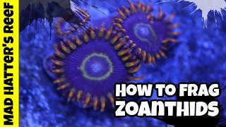 The Best Way To Frag Zoanthids [upl. by Holtorf]