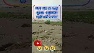 batya dana🔥🔥 shorts shortsvideo tow day news latest news ytshorts [upl. by Sochor]