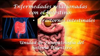 Trastornos Intestinales [upl. by Aztin]