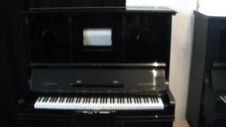 Grotrian Steinweg Hupfeld Solophonola [upl. by Lacy80]