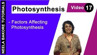 Photosynthesis  NEET  Factors Affecting Photosynthesis  Neela Bakore Tutorials [upl. by Shipp]