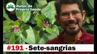 Autor da Própria Saúde  Setesangrias hipertensão colesterol arteriosclerose ansiedade [upl. by Aryan]