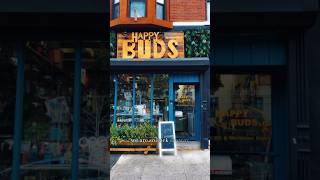 MINI VLOG  HAPPY BUDS GRAND REOPENING  BED STUY DIML [upl. by Acinomal]