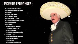 Vicente Fernández  Mujeres Divinas En Vivo [upl. by Llertnac505]