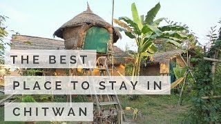 The Best Place to Stay in Chitwan [upl. by Mareld]