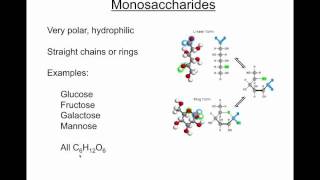 Organic chemistry screencast segment 3  Carbohydratesmp4 [upl. by Gwenn984]