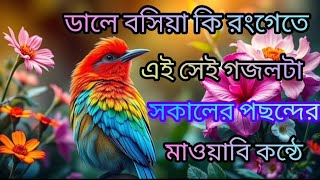 ডালে বসিয়া কি রংগেতে এই সেই গজলটা সকলের পছন্দের মায়াবি কন্ঠে bangla gozol ♥️♥️♥️♥️♥️♥️ [upl. by Jereld]