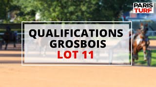 Qualifications Grosbois – Trot attelé – Lot 11 du 24062022 [upl. by Oigroeg]