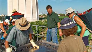 Great French Bordeaux Wines Discovering Château Lafitte and Château Haut Brion [upl. by Mozza]