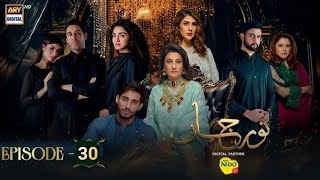 Noor Jahan next episode 30 promoFull review storyAry DigitalDrama Tv [upl. by Dixil]