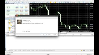 Hedging EA Setup 2 [upl. by Woodley]