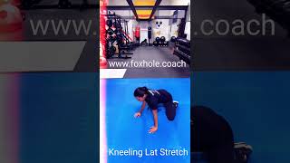 Kneeling Lat Stretch [upl. by Eelrebma]