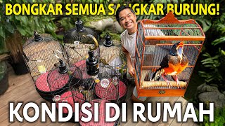 KONDISI SEMUA BURUNG KICAU AKU DI RUMAH KITA BONGKAR DAN BERSIHKAN SEMUA SANGKAR DISINI [upl. by Ledarf]