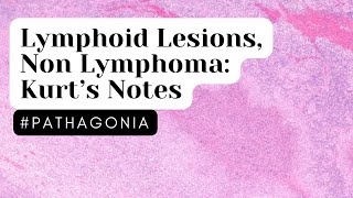 Lymphoid Lesions Non Lymphoma Kurtâ€™s Notes pathagonia [upl. by Htebazile]