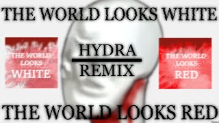 The World Looks White The World Looks Red ULTRAKILL 71  HYDRA REMIX [upl. by Tay]