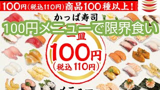 【かっぱ寿司】こんな時代に100円100種以上❗いっぱい食べよう【大食い】 [upl. by Marvin694]