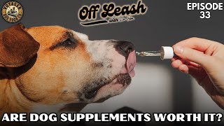 Are Dog Supplements Worth It [upl. by Karim]