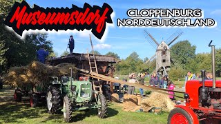 MUSEUMSDORF CLOPPENBURGERNTEN und ESSEN4K cloppenburg museumsdorf ernte traktor [upl. by Annaej]