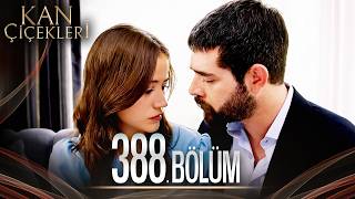 Kan Çiçekleri 388 Bölüm [upl. by Zsa509]