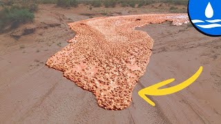 MUD amp THUNDER  Amazing n Weird Flash Flood Videos from Arizona [upl. by Nnanerak]