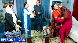 Bulbulay Season 2 Episode 236  Ayesha Omar amp Nabeel [upl. by Gus]