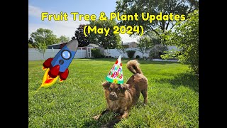 Fruit Tree amp Plant Updates May 2024 [upl. by Einnaj778]