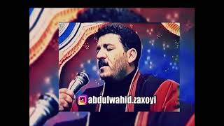 Best Hits Of Abdulwahid Zaxoyi [upl. by Neiv]