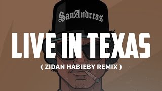 LIVE IN TEXAS  ZIDAN HABIEBY  REMIX 2024 [upl. by Shu]