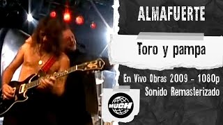 Almafuerte  Toro y pampa En Vivo Obras 2009 MuchMusic 1080p [upl. by Kcirtap207]