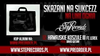 Skazani Na Sukcezz ft Lerek  Hawajskie koszule III [upl. by Yauq462]