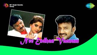 Nee Enthan Vaanam  Nee Enthan song [upl. by Iatnwahs]