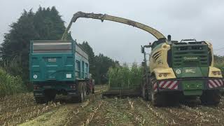 Ensilage 2k19 avce une Krone 780 en 12 rang [upl. by Naihtsirc869]