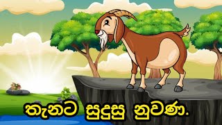 තැනට සුදුසු නුවණ  Cartoon  Kathandara  Kids Video [upl. by Mcquade]