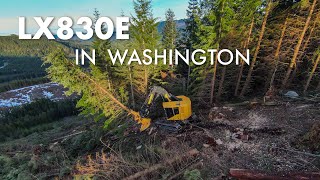 Tigercat LX830E Feller Buncher in Washington [upl. by Annotahs]