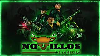 Novillos De La Sierra 2024  Grandes Exitos  Puros Corridos Mix [upl. by Grekin]