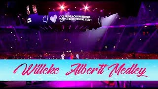 De Toppers amp Willeke Alberti  Willeke Alberti Medley 2015 HD  Toppers in Concert Crazy Summer [upl. by Phil]