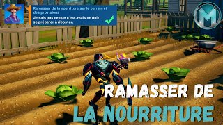 Ramasser de la nourriture sur le terrain et des provisions  Fortnite  Saison 7  Défi Quête Guide [upl. by Yesrod]