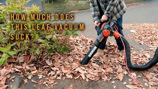 How to VACUUM YOUR LAWN [upl. by Oneill545]