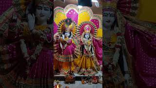 Shorts love shortsfeed radhakrishna radhakrishnastatus krishna bhakti bhajan [upl. by Erasme]