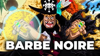 TOUT LÉQUIPAGE DE BARBE NOIRE DANS ONE PIECE EXPLIQUÉ [upl. by Garrett]