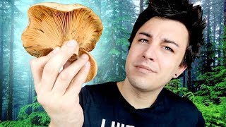 JAI TROUVÉ DES CHAMPIGNONS SANGUINS  Vlog [upl. by Rolat485]