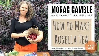 How to make Rosella Tea [upl. by Nibur]