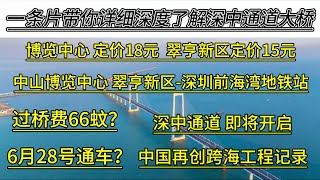 一条片帶你深度瞭解深中通道大橋，深中巴士站點与及收費定價，中山東區博覽中心定價18元至深圳前海灣地鐵站，翠亨新區定價15元至前海灣，私家車過橋費66元，深中同城即將開啟深中通道筍盤 深中通道 [upl. by Bigler519]