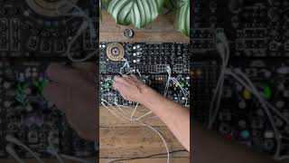 Can the Dual Harmonic Oscillator ambient drone [upl. by Pilar551]