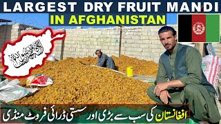 Afghanistan ki sub s badi dry fruit market  Afghanistan dry fruit mandi  Afghanistan dry fruit [upl. by Filippa]