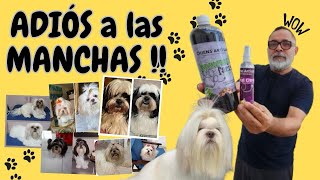 Así ELIMINO la MANCHA en LAGRIMALES a mis Shih Tzu  NUNCA FALLA [upl. by Dalpe]